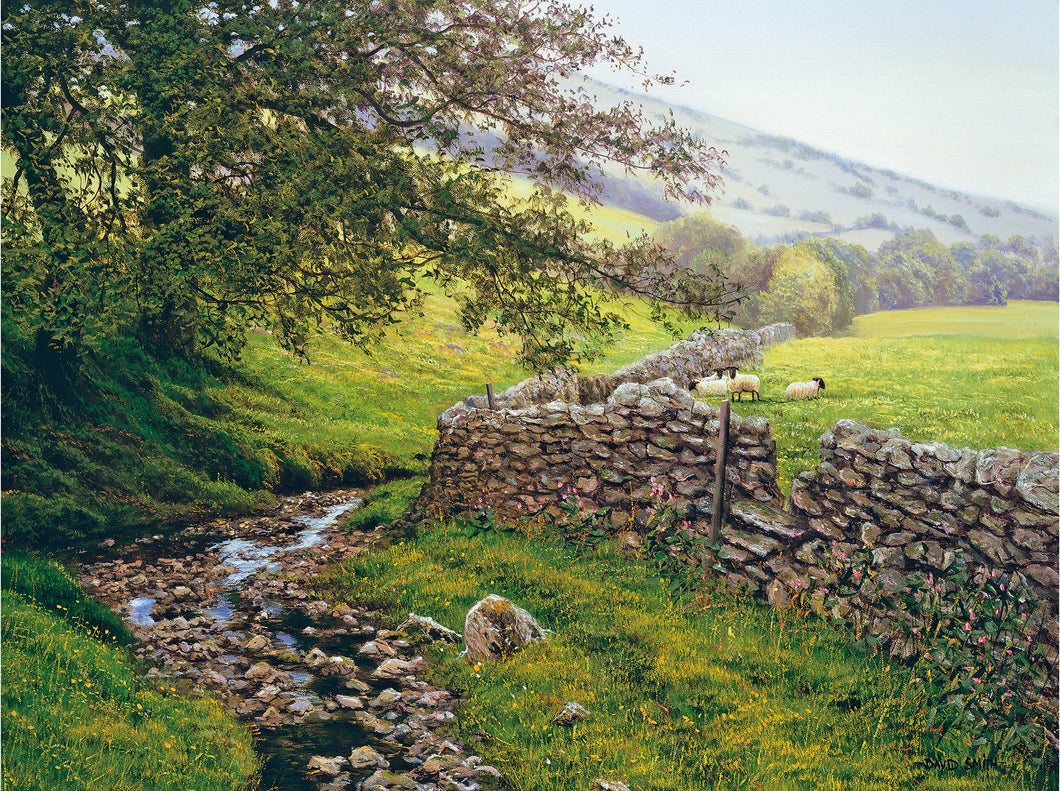 THE OLD DRY STONE WALL - Limited Edition Print