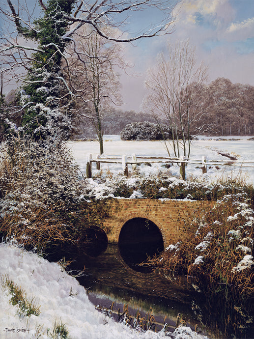 JANUARY SNOW - Limited Edition Print