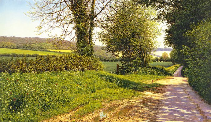KENT LANE - 14x24 inch Limited Edition Giclee Print