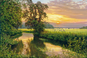 SUNSET ON THE COLNE - Limited Edition Print
