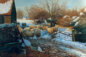 WINTER WOOLIES - Limited Edition Print